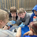 Primary students from The Legacy School learn about Diamondback Terrapins