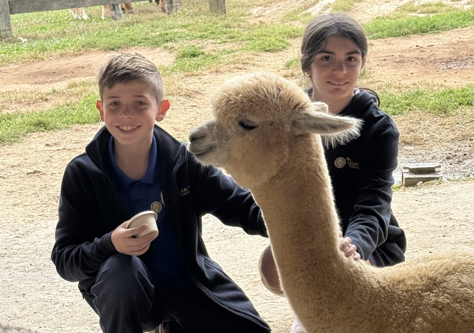 Primary School and Lower School students from The Legacy School took a field trip to Black Barn Alpacas in Finksburg, Maryland.